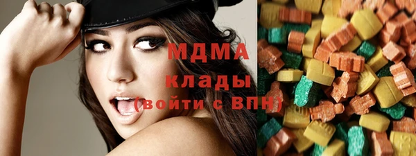 PSILOCYBIN Алзамай