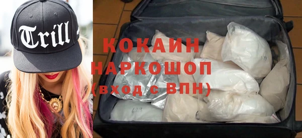 PSILOCYBIN Алзамай