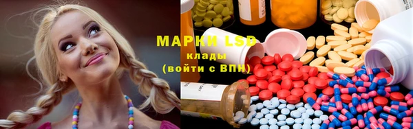 PSILOCYBIN Алзамай
