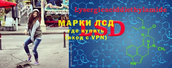PSILOCYBIN Алзамай